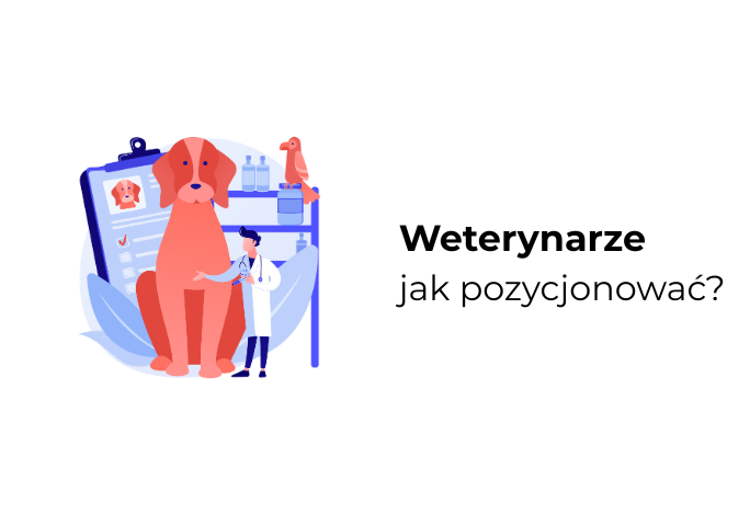 pozycjonowanie weterynarze
