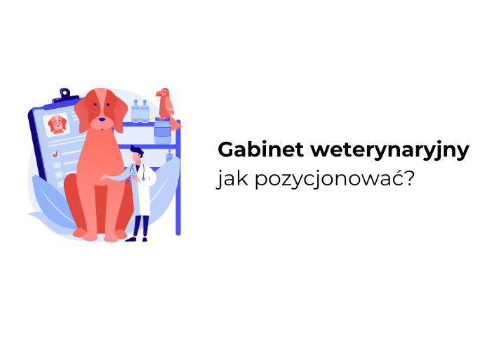 gabinet weterynaryjny seo