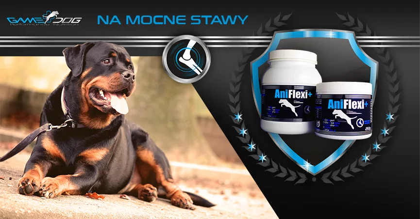 Game Dog – kampania sprzedażowa suplementu AniFlexi+ na Facebooku