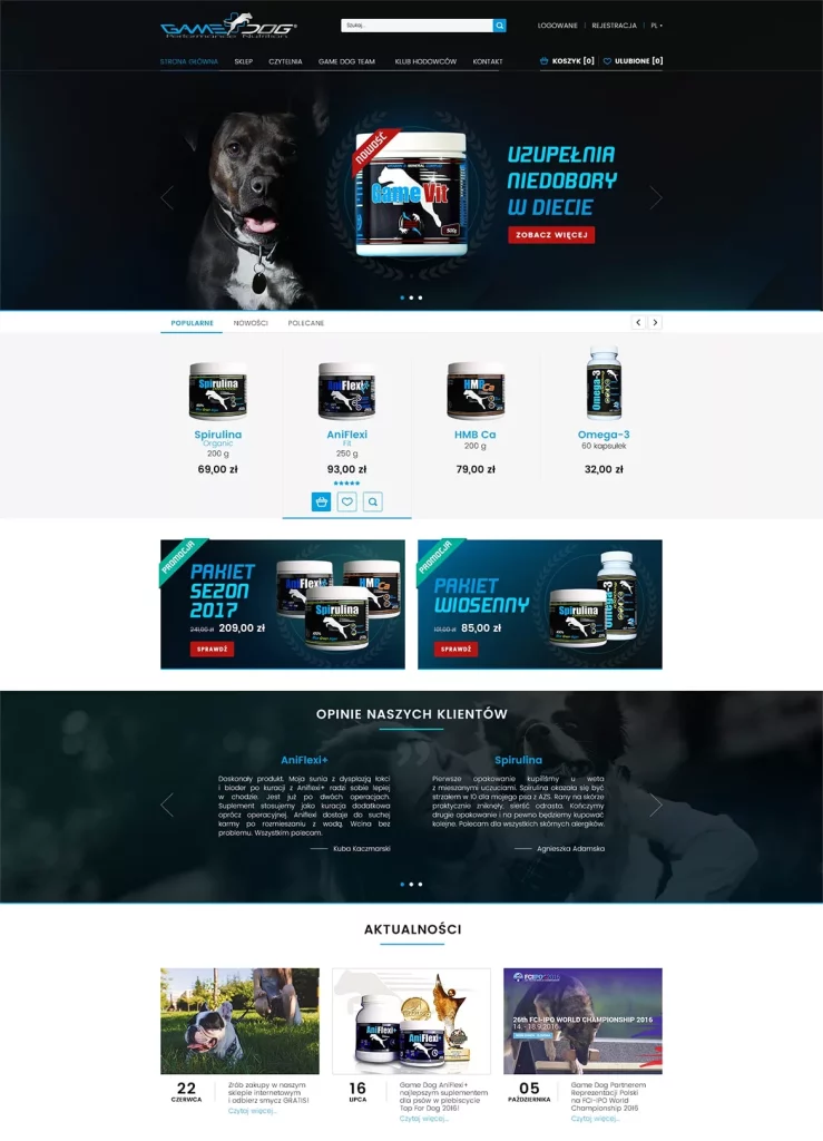 Game Dog: projekt i wdrożenie sklepu internetowego