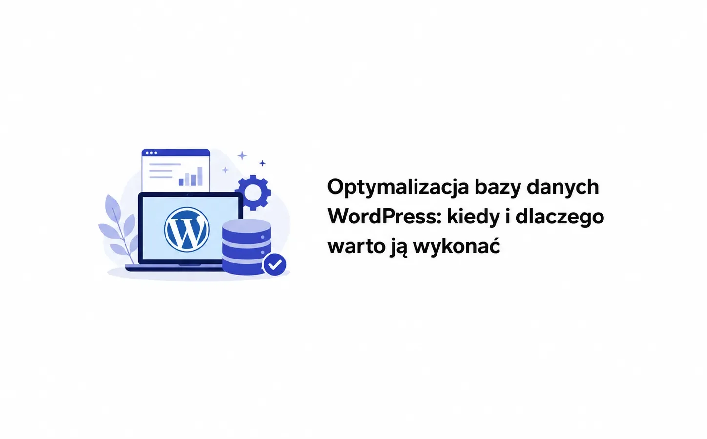 Optymalizacja bazy danych WordPress: kiedy i dlaczego warto ją wykonać