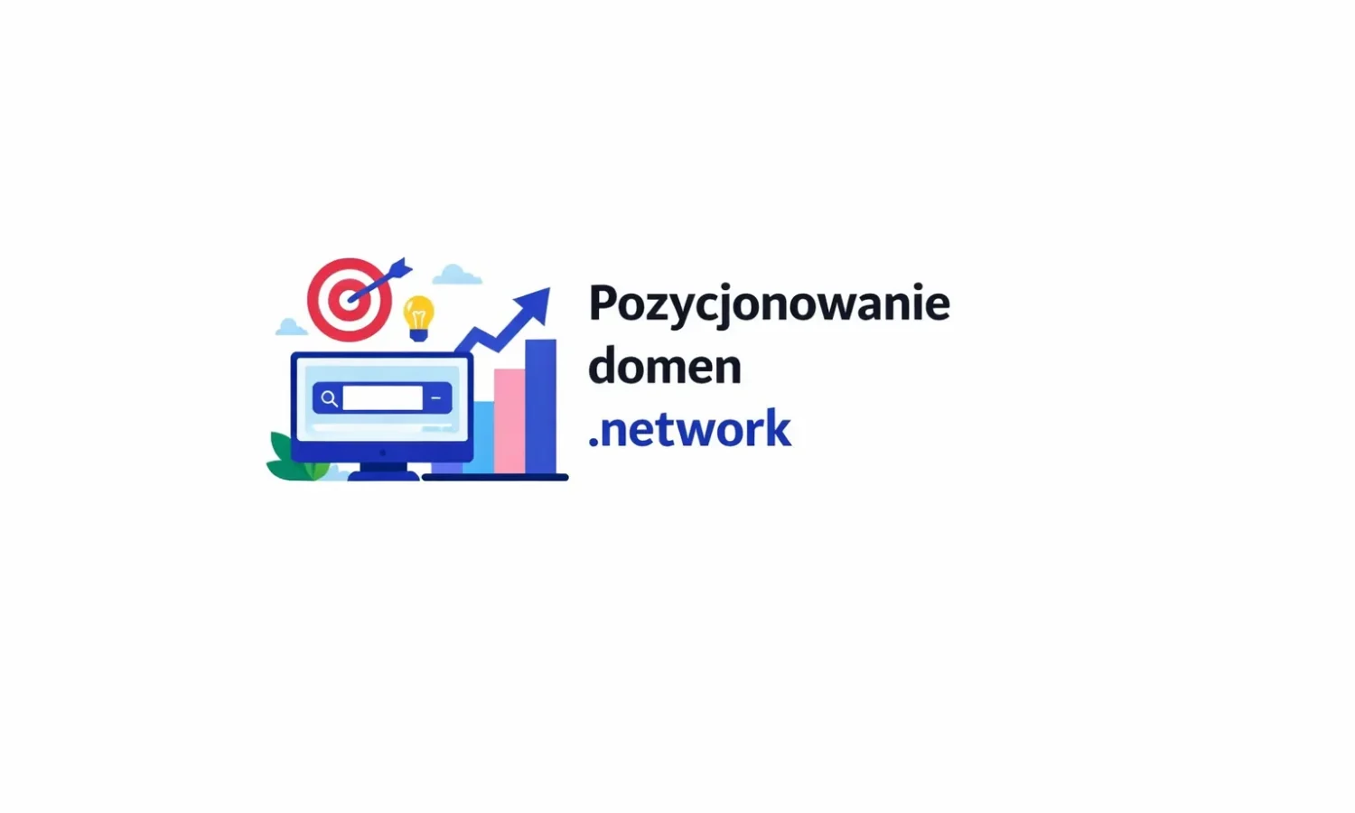 Pozycjonowanie domen .network